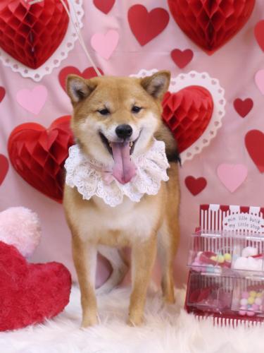 20240216リンちゃん